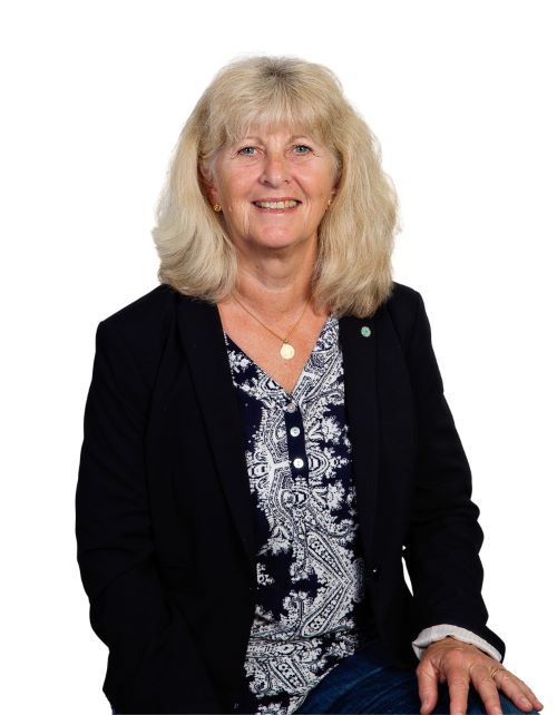 Senior medborgare matchmaking